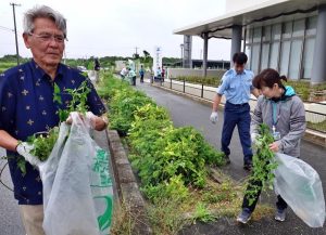 座喜味市長（左）も率先して清掃活動に参加。市役所周辺のごみや雑草を拾い集めた＝30日、市役所周辺
