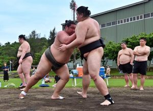 初日から迫力のけいこが行われた時津風部屋の宮古島合宿=15日、市民球場のグラウンド