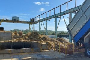 2022・23年産サトウキビの代金は78億5724万円だった(資料写真)