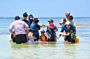 浅瀬で生物を探すサンゴ礁ガイドのなかまたちのメンバーと子どもたち＝４日、新城海岸