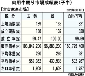 やや値を戻した６月期牛競り＝19日、ＪＡおきなわ宮古家畜市場