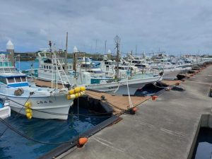 台風の影響で漁に出られず港に停泊する漁船＝2日、荷川取漁港