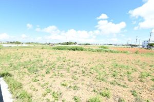 畑地整備工事が行われている下地竹アラ地区=11日、下地小学校前