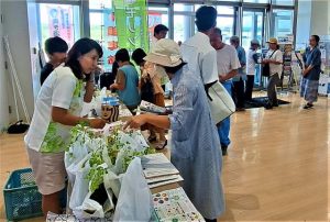 市民らにモリンガの苗が無料で配布された＝25日、市役所