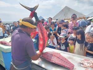 35キロのキハダマグロが解体され、来場者に振る舞われた＝11日、佐良浜漁港