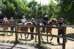 乗馬を体験する子どもたち＝５日、まいぱり宮古島熱帯果樹園