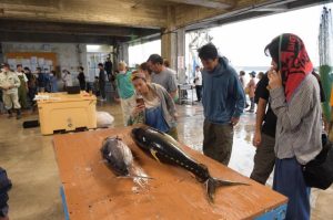 早朝から多数の市民が来場し整理券をもらい魚を品定めしていた＝12日、宮古島漁協