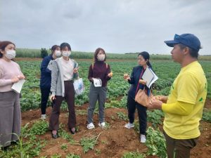 田村さん（右）からジャガイモ栽培について説明を聞く栄養士ら＝６日、城辺新城
