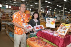早くも24年産マンゴーが店頭に並び始めた＝11日、島の駅みやこ