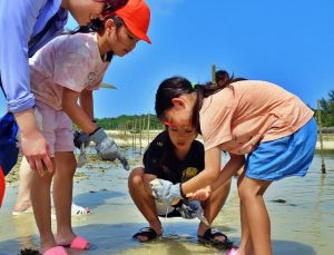 宮古の伝統行事「サニツ」を楽しむ西辺小の児童ら＝11日、松浦港湾