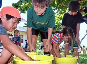 下地こども園の園児と下地小の５年生が協力し合いながらバケツで稲づくりを体験した＝２０日、下地こども園