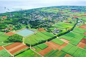日本農業遺産に認定された抱護・集落景観の鳥瞰（ちょうかん）写真（多良間村提供）