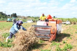 ハーベスターで黒豆を収穫する渡真利代表と組合員＝29日、下地上地