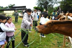 子供たちが宮古馬に餌を与えて触れ合った＝24日、まいぱり宮古島熱帯果樹園