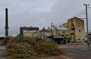 ボイラー改良工事を終え３日から操業を再開させる宮古製糖伊良部工場＝１日