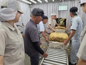 2025年産の買い入れが終了した＝22日、平良西里の日本たばこ産業宮古葉たばこ取扱所（提供）