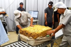 25年産葉タバコの買い入れが始まった＝１日、日本たばこ産業宮古葉タバコ取扱所