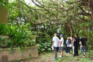 「平良忠魂碑」を見詰める参加者ら＝２日、馬場団地近く