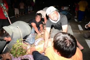 大勢が参加し東西に分かれて綱を引き合った宮国の大綱引き＝６日、宮国公民館前