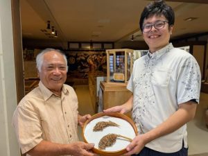 本村さん(左)にウプゲーンの穂を寄贈する玉木さん(右)=9日、多良間村ふるさと民俗学習館