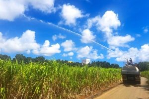 ８～９月にかけ雨が少なくサトウキビへのかん水が行われている＝５日、上野字上野