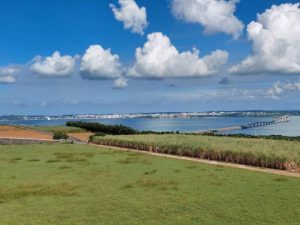 ２年連続で月平均気温最高を記録し、暑い１カ月となった＝９月９日