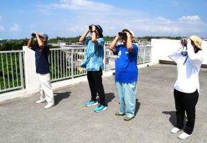 県職員らがサシバの飛来を調査した＝８日、伊良部地区津波避難施設