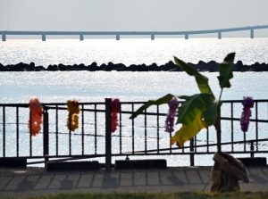 ９月に続き10月も暑い日が続いた宮古島＝10月12日、トゥリバー海浜公園