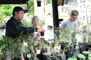 世界中から集まった珍しい植物を見る来場者たち＝29日、トリコファーム