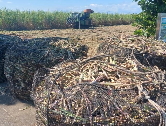 キビ交付金　トン当たり１万６８６０円／政府発表
