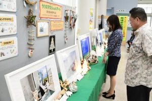 島の風景や貝殻アートを楽しめる展示会＝26日、沖縄銀行宮古支店