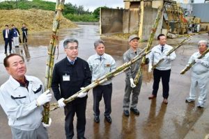 サトウキビを投げ入れる関係者の皆さん=1日、宮古製糖伊良部工場