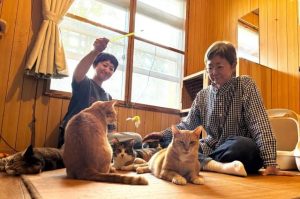 保健所から引き出した猫が暮らすねこハピハウス。ごく普通の一軒家に約20匹の猫が住んでいる＝10日、平良西里