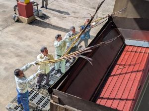 操業開始と安全祈願セレモニーでキビの束を投げ入れる関係者＝５日、多良間村製糖工場