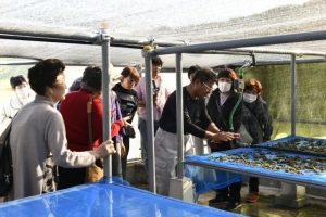 イシクラゲの栽培状況などを見学する参加者たち＝10日、浦底漁港
