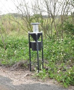 アオドウガネを捕獲する誘殺灯（資料写真）