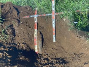 宮古空港で新たに見つかった不発弾３発のうち、最初に発見された長さ約55㌢の米国製５㌅ロケット弾（県提供）