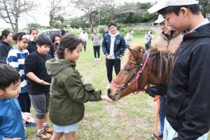 黒糖をあげるなど宮古馬との触れ合いを楽しむ児童たち＝22日、旧福嶺中運動場