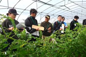 上地代表理事（左から３人目）のハウスで作物について説明を受けた飲食事業者の皆さん＝20日、下地与那覇