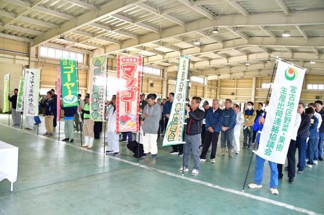 ゴーヤーな ど本土市場へ／ＪＡ野菜・果樹生産連絡協