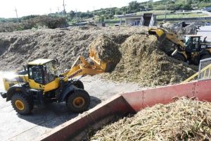 操業開始から１カ月が過ぎた宮古製糖城辺工場＝６日、城辺砂川