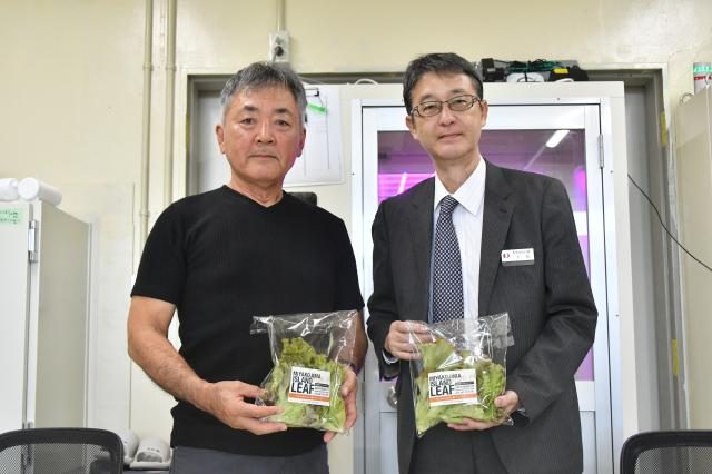融資で植物工場開設支援／沖縄公庫