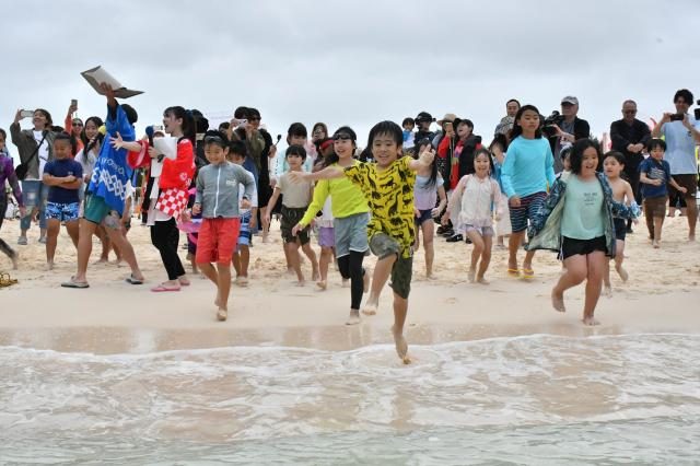 「サンゴの楽園」シーズン到来