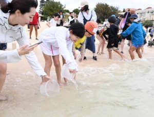 ルリスズメダイなどの稚魚を放流する子供たち＝21日、シギラビーチ